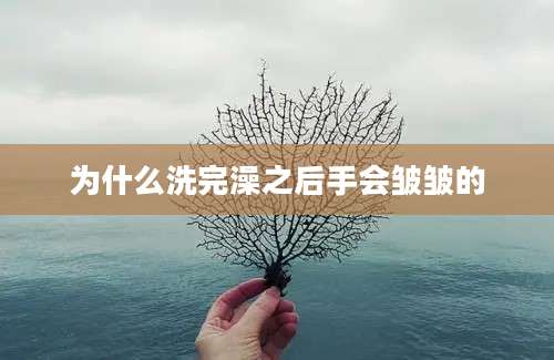 为什么洗完澡之后手会皱皱的