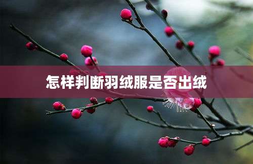 怎样判断羽绒服是否出绒