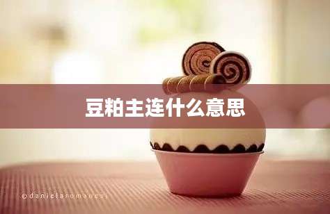 豆粕主连什么意思