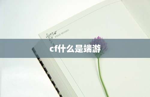 cf什么是端游