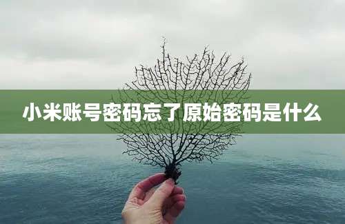 小米账号密码忘了原始密码是什么