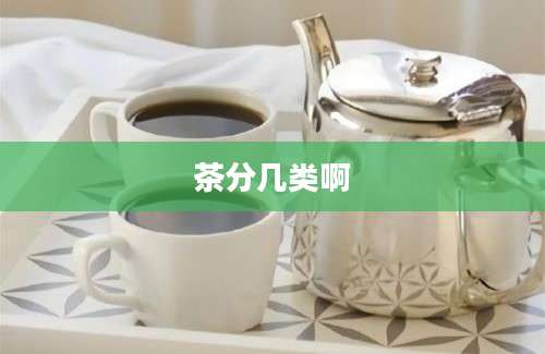 茶分几类啊