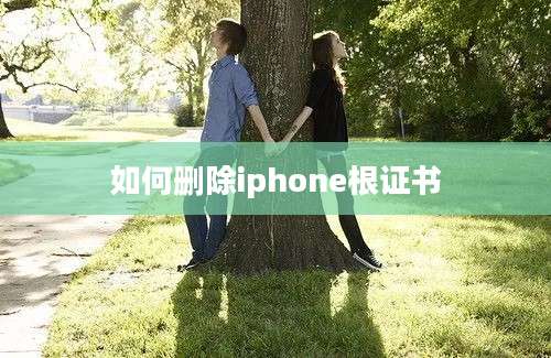 如何删除iphone根证书