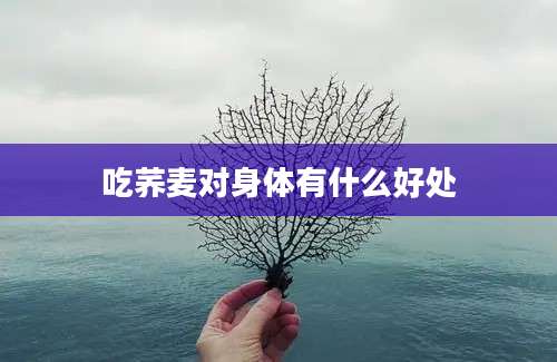 吃荞麦对身体有什么好处