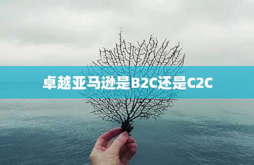 卓越亚马逊是B2C还是C2C