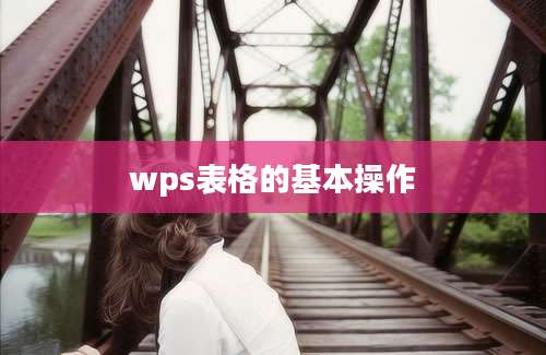 wps表格的基本操作