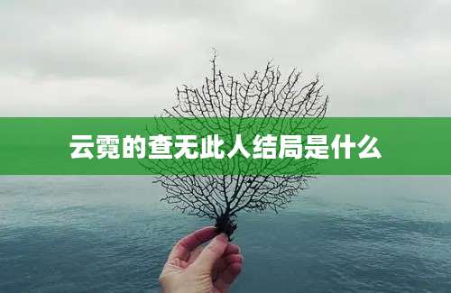 云霓的查无此人结局是什么