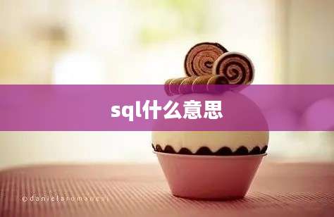 sql什么意思