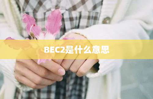 BEC2是什么意思