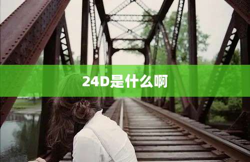 24D是什么啊