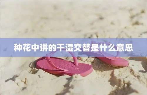 种花中讲的干湿交替是什么意思