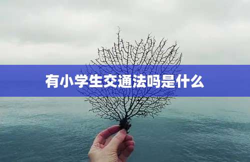 有小学生交通法吗是什么