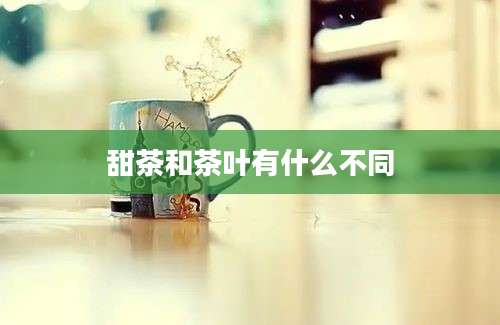 甜茶和茶叶有什么不同