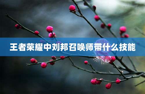 王者荣耀中刘邦召唤师带什么技能