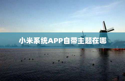 小米系统APP自带主题在哪