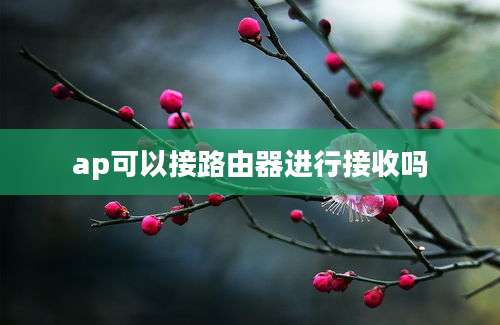 ap可以接路由器进行接收吗