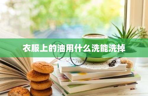 衣服上的油用什么洗能洗掉