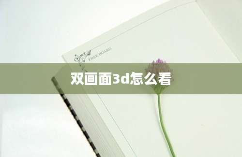 双画面3d怎么看