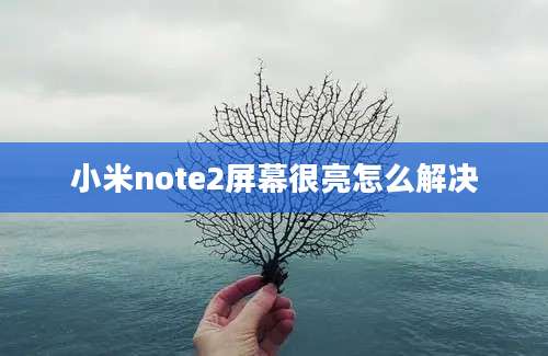 小米note2屏幕很亮怎么解决