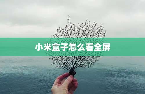 小米盒子怎么看全屏