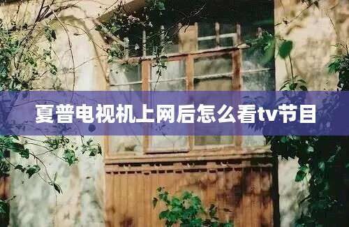 夏普电视机上网后怎么看tv节目