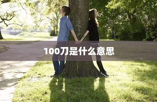 100刀是什么意思