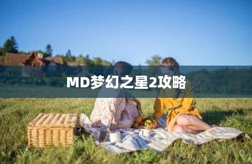 MD梦幻之星2攻略