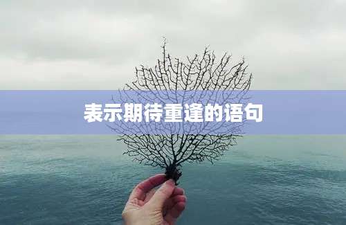 表示期待重逢的语句