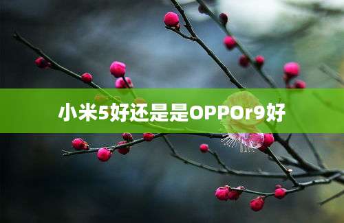 小米5好还是是OPPOr9好