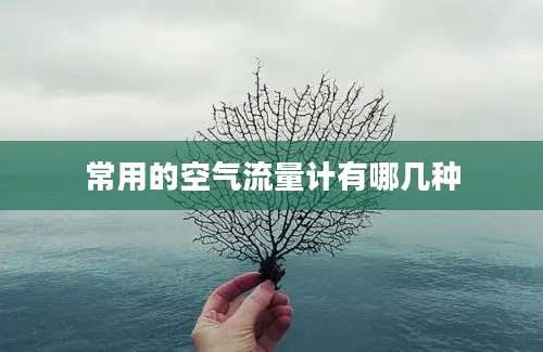 常用的空气流量计有哪几种