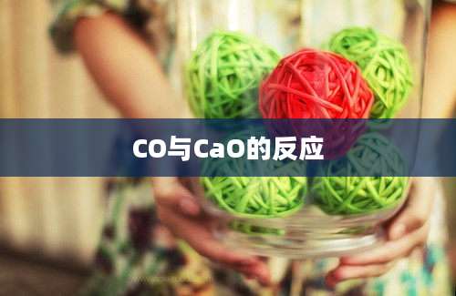 CO与CaO的反应