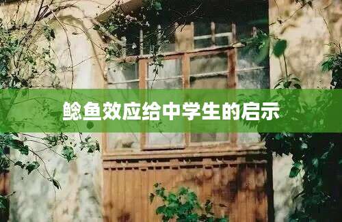 鲶鱼效应给中学生的启示