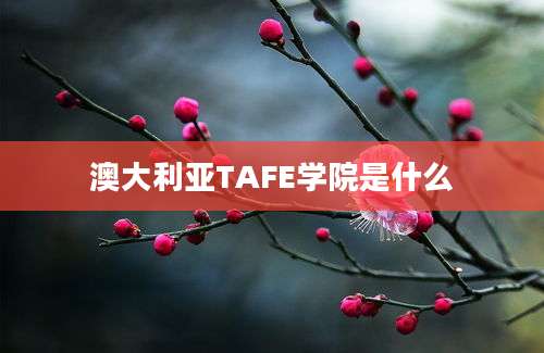 澳大利亚TAFE学院是什么