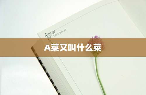 A菜又叫什么菜