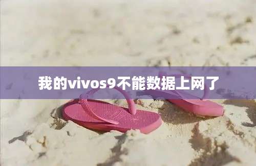 我的vivos9不能数据上网了