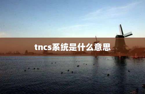 tncs系统是什么意思