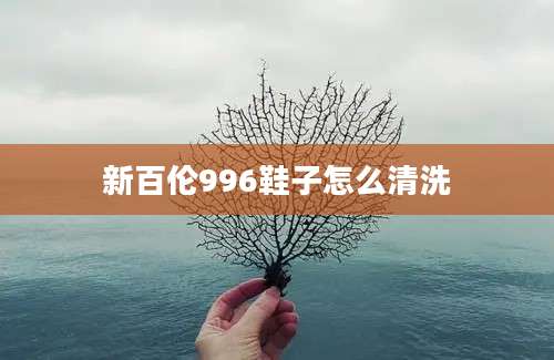 新百伦996鞋子怎么清洗