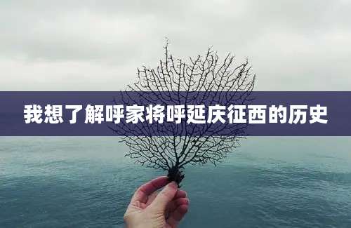 我想了解呼家将呼延庆征西的历史