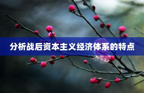 分析战后资本主义经济体系的特点