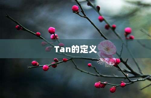 Tan的定义