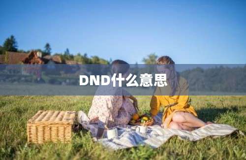 DND什么意思