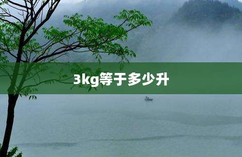 3kg等于多少升