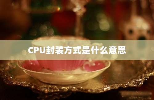 CPU封装方式是什么意思