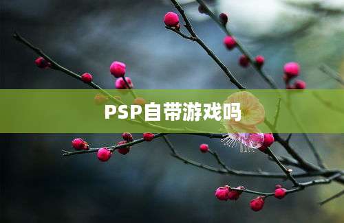 PSP自带游戏吗