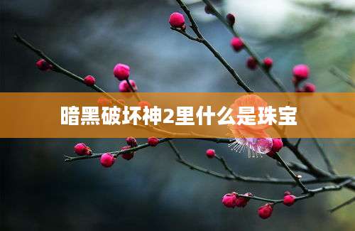 暗黑破坏神2里什么是珠宝