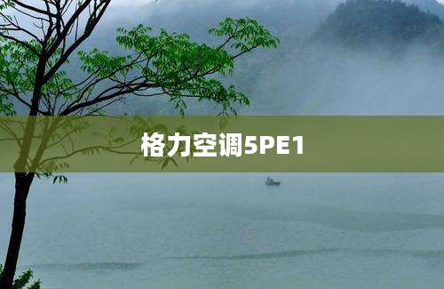 格力空调5PE1