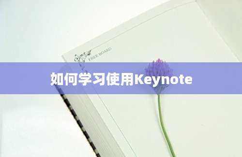 如何学习使用Keynote