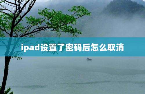 ipad设置了密码后怎么取消