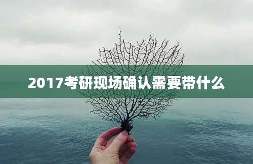 2017考研现场确认需要带什么