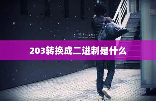 203转换成二进制是什么